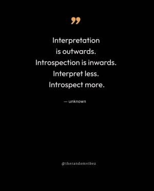 quotes about introspection