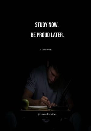 quotes about studying