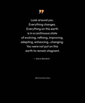 Inspirational Quotes On Evolving