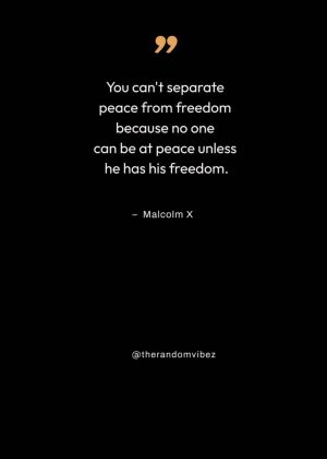 Malcolm X Quotes on freedom
