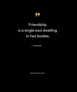 aristotle friendship quote