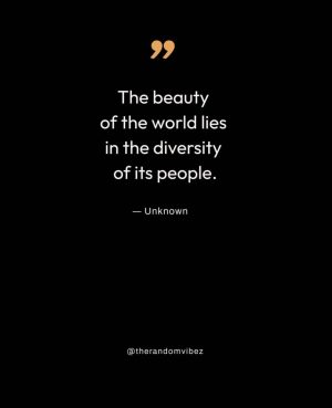 cultural diversity quotes