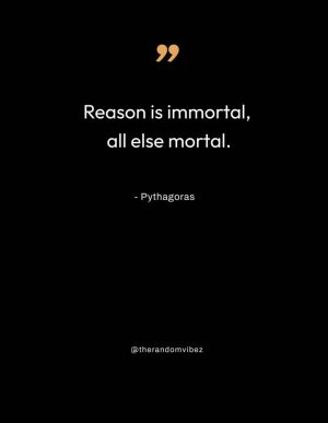 famous pythagoras quotes