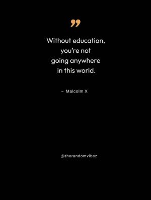 malcolm x education quote