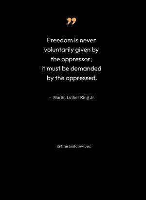 martin luther king jr quotes