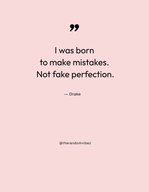 perfectionist quotes
