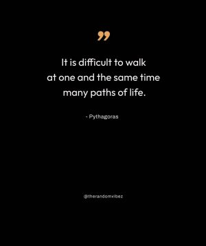 pythagoras quotes images