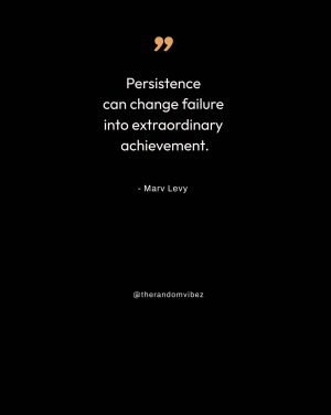 quotes on persistence