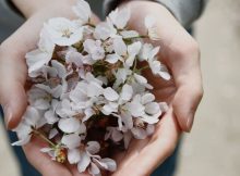 Healing Quotes To Recover Your Mind, Body & Soul