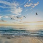 Heaven Quotes About Peace, Paradise & Eternity