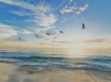 Heaven Quotes About Peace, Paradise & Eternity