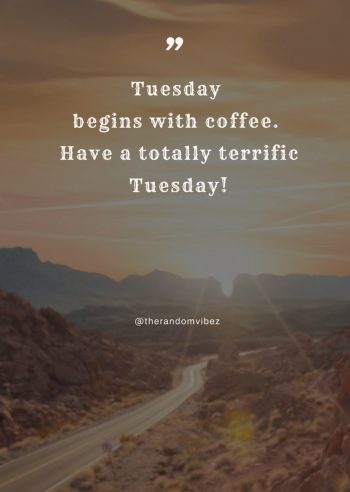 happy terrific tuesday images