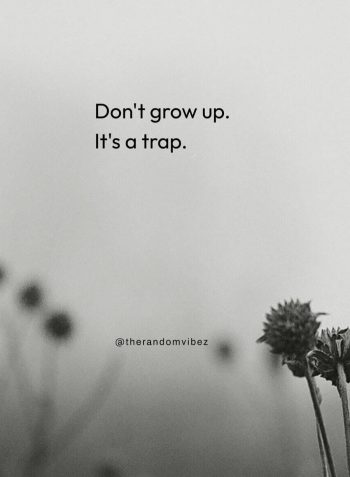 never grow up quotes