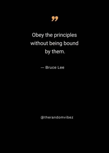 principle quotes