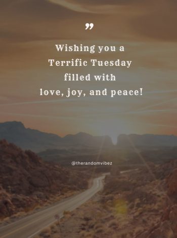 terrific tuesday