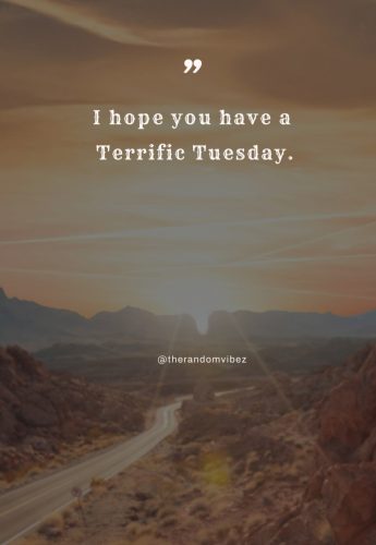 terrific tuesday quotes