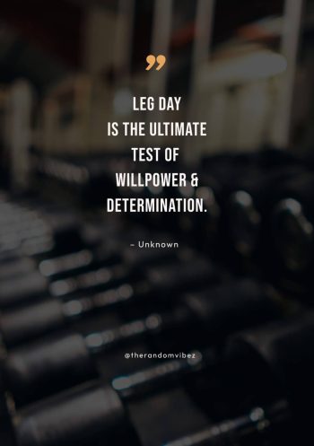 Monday leg day quotes