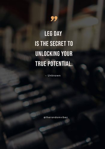 best leg day quotes