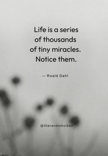 miracle quotes