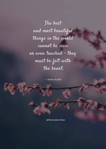 most beautiful quotes