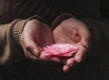 40 Modesty Quotes To Inspire You To Stay Humble