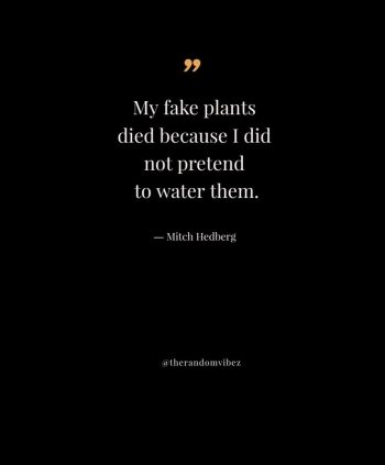 Funny Mitch Hedberg Quotes