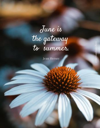 june quote