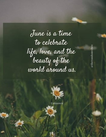 quote about june