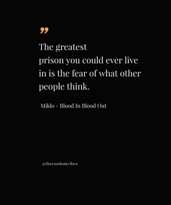 lines from blood in blood out