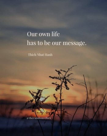 thich nhat hanh quote