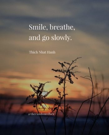 thich nhat hanh quotes images
