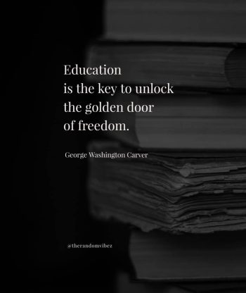 education quotes images