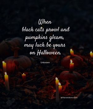 halloween pumpkin quotes