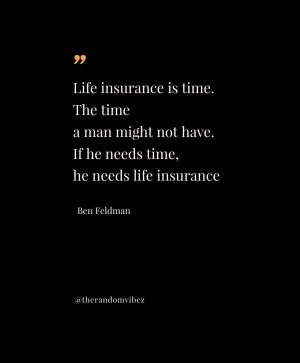 insurance quotes