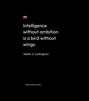 intelligence quotes images