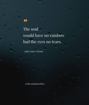 quotes for tears