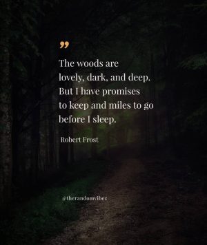 robert frost poems