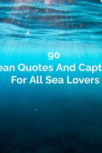 90 Ocean Quotes And Captions For All Sea Lovers