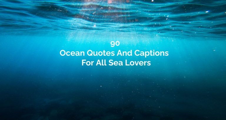 90 Ocean Quotes And Captions For All Sea Lovers