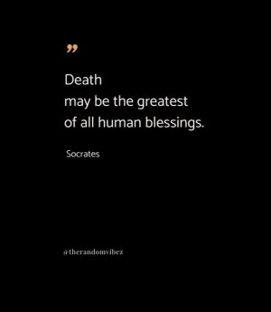 best quotes by socrates