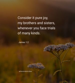 bible quotes images