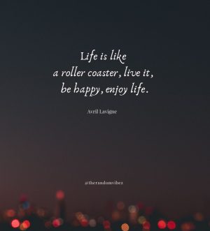 enjoy your life quotes