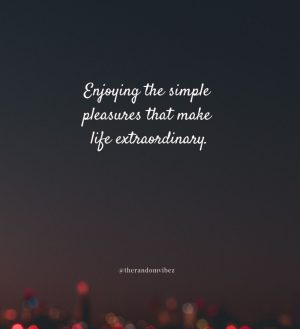 enjoyment quotes