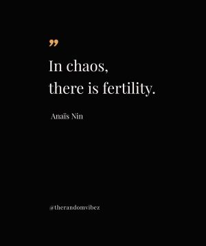 quotes of anais nin