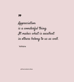 quotes of appreciation