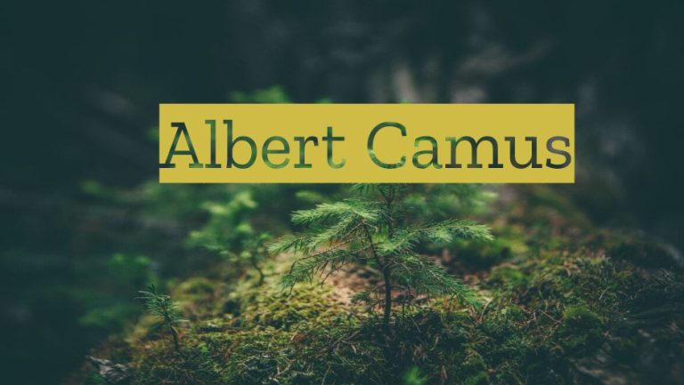 Albert Camus Quotes On The Absurdity Of Life