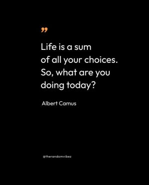 albert camus quote