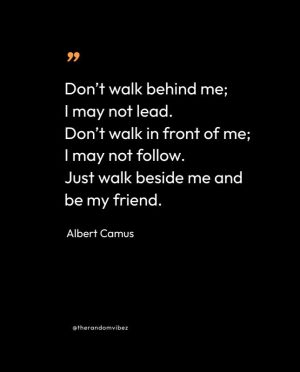 albert camus quotes images