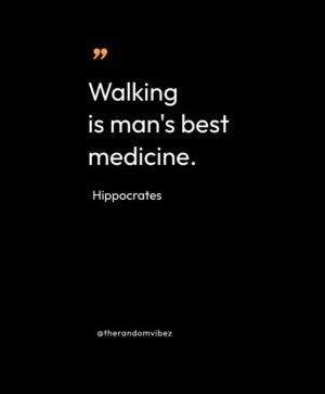 hippocrates quotes