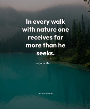 john muir quote